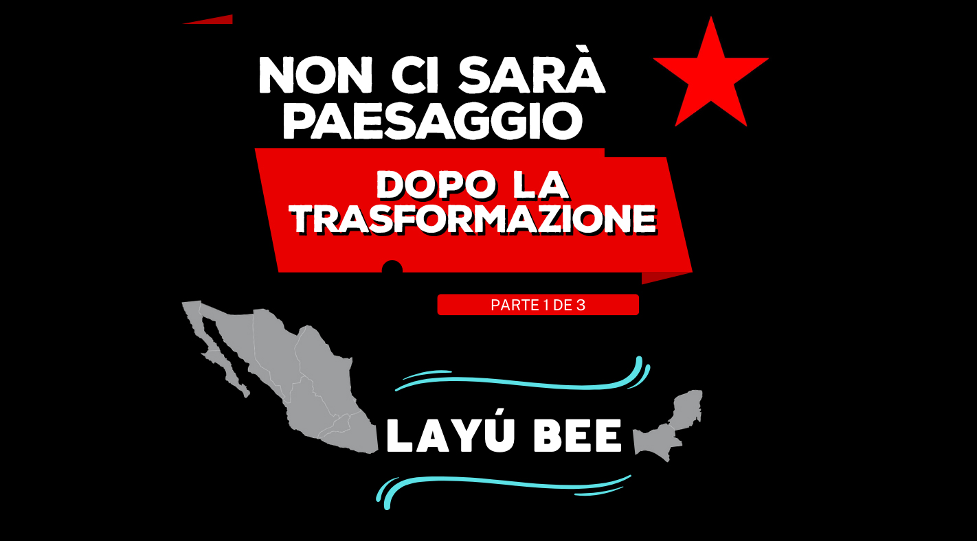 NON CI SARÀ PAESAGGIO DOPO LA TRASFORMAZIONE – Parte 1 di 3 – Layú bee